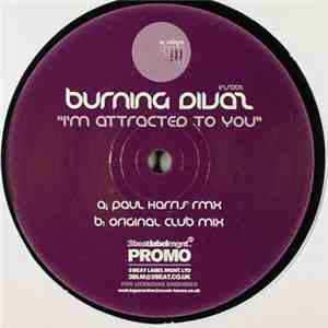 Burning Divaz - I'm Attracted To You download free