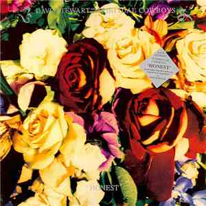 Dave Stewart And The Spiritual Cowboys - Honest download free