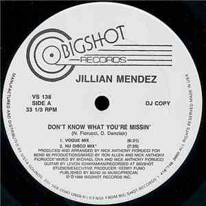 Jillian Mendez - Don't Know What You're Missin' download free