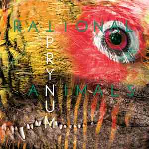 Prynum - Rational Animals download free