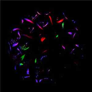 The Awen - Structure EP download free
